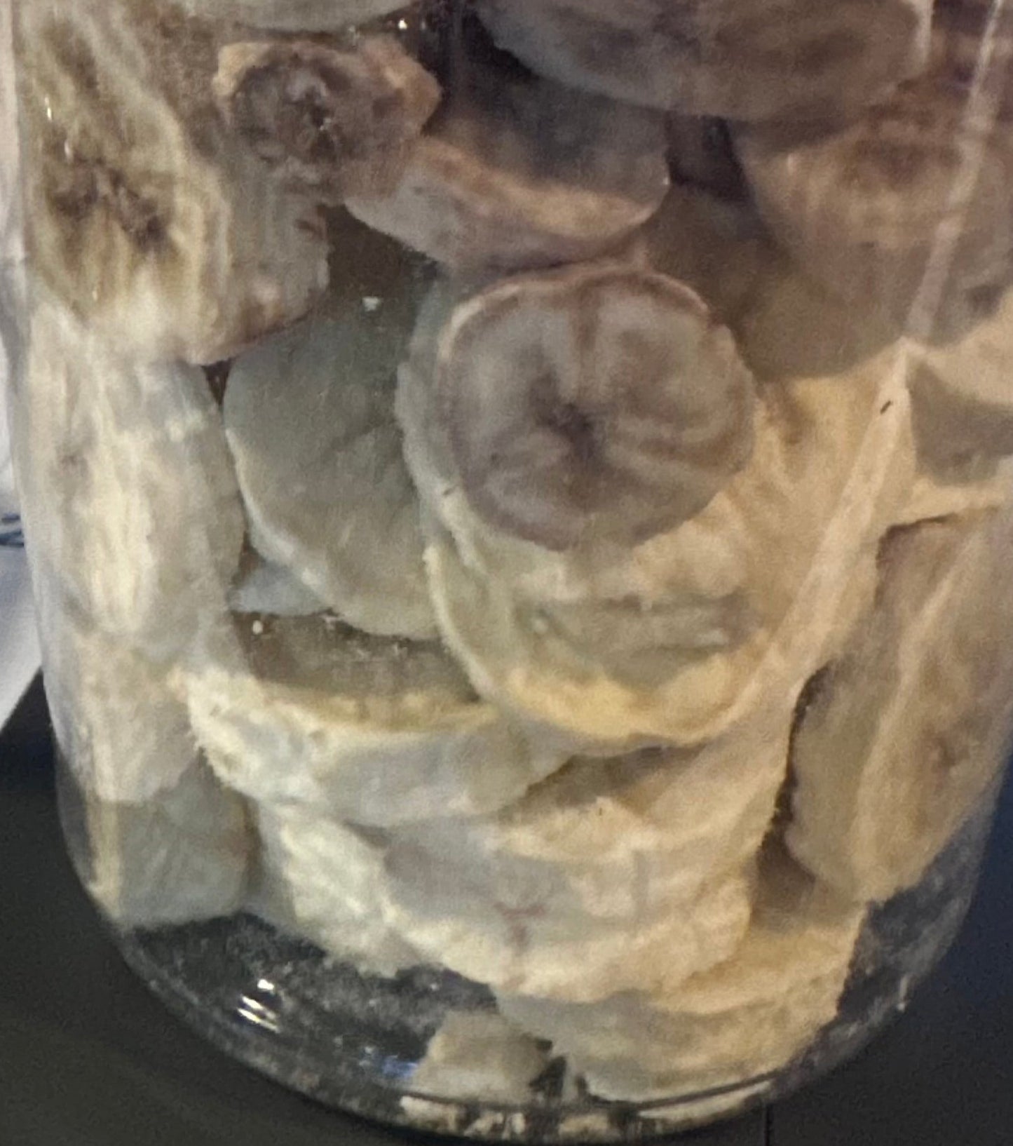 Banana Chips 16oz tub