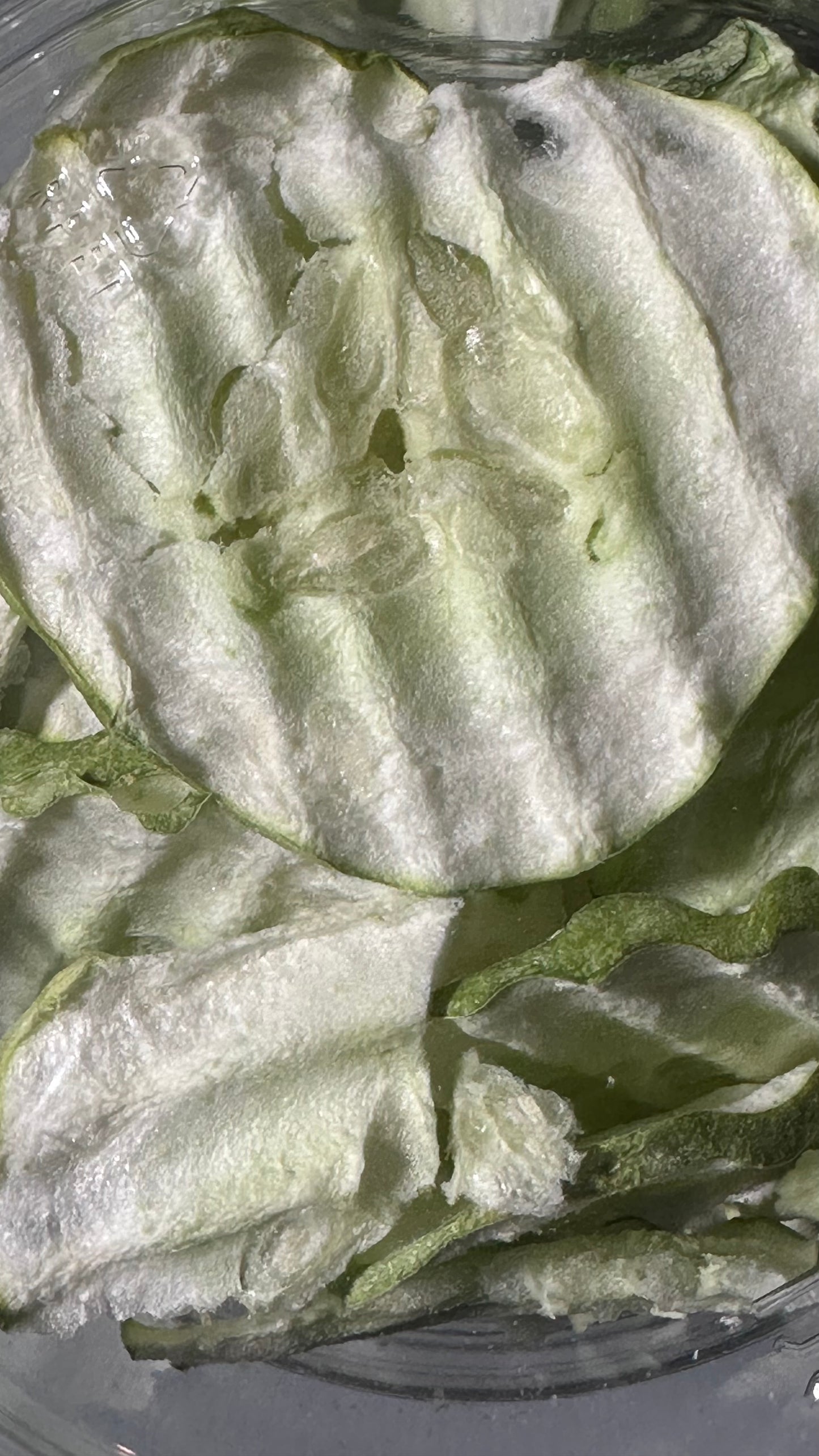 Ranch Cucumber 16oz