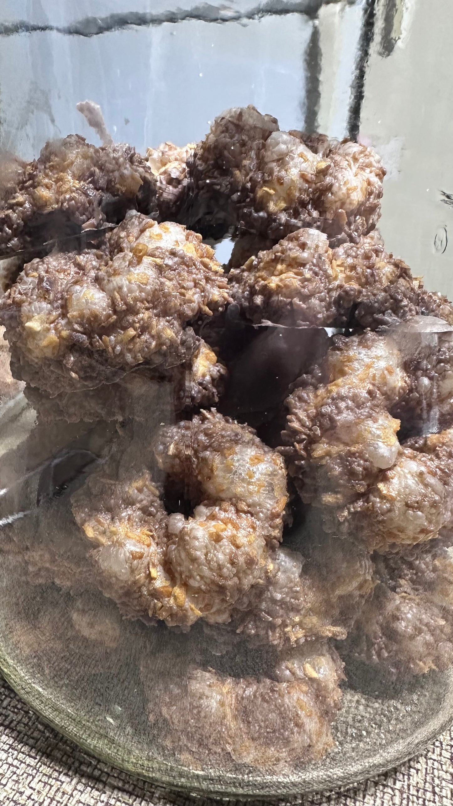 Coconut Caramel Delights
